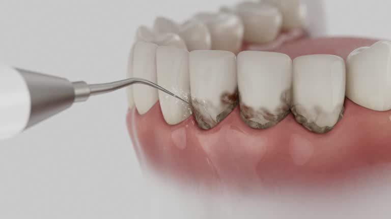 Reliable Dental contractor in Thompson Falls, MT by Dentist Open Now
